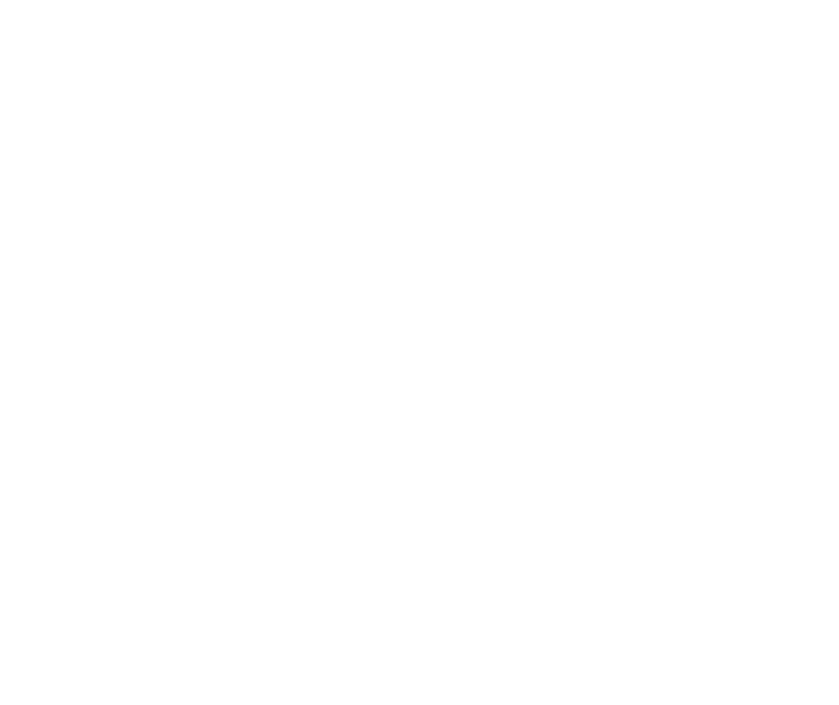 Duda design
