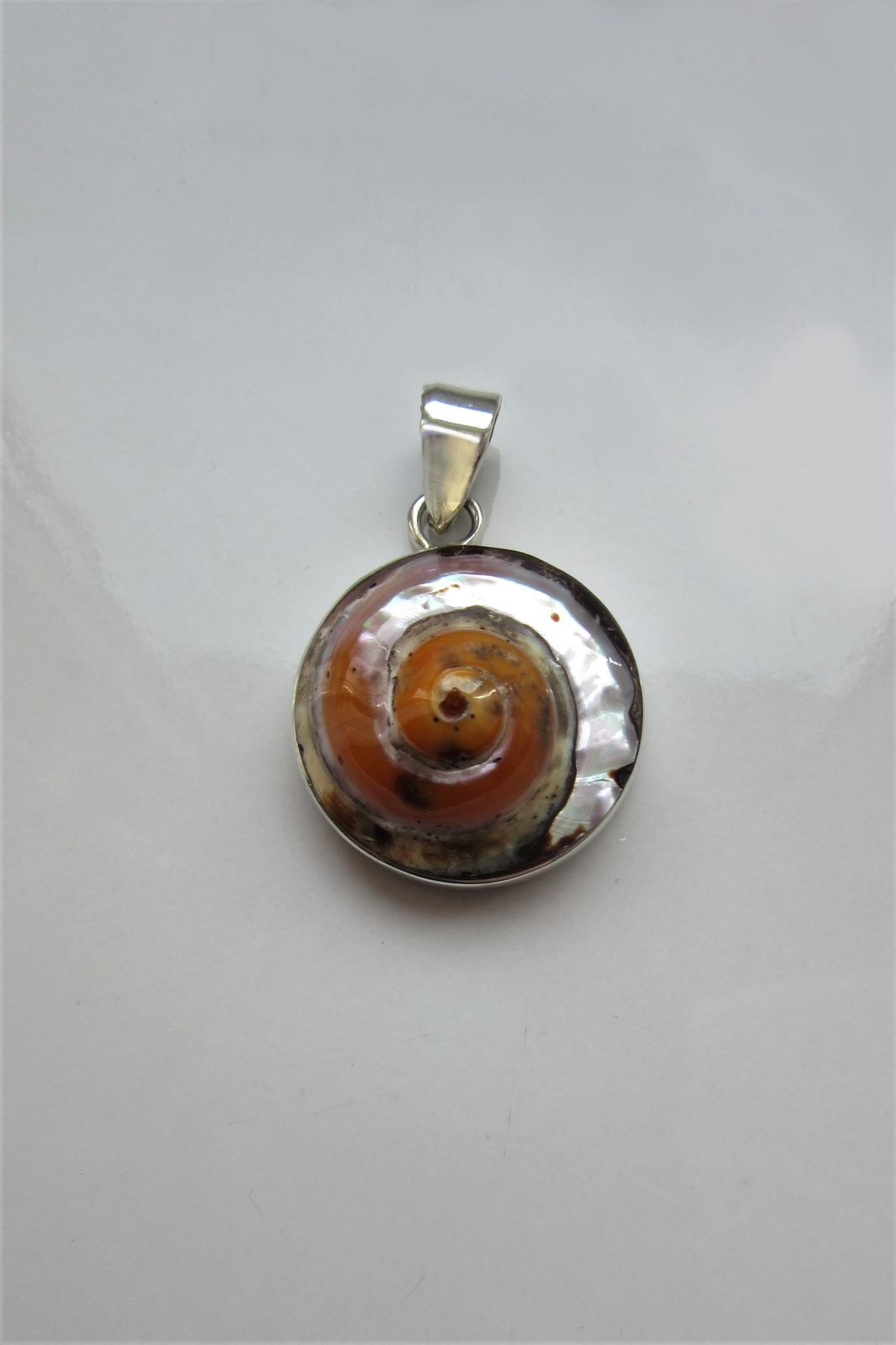 African Turban Shell Round Pendant